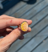 Load image into Gallery viewer, sunrise shell chip ring - gold - size 8.5
