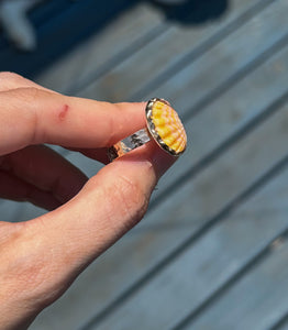 sunrise shell chip ring - gold - size 8.5