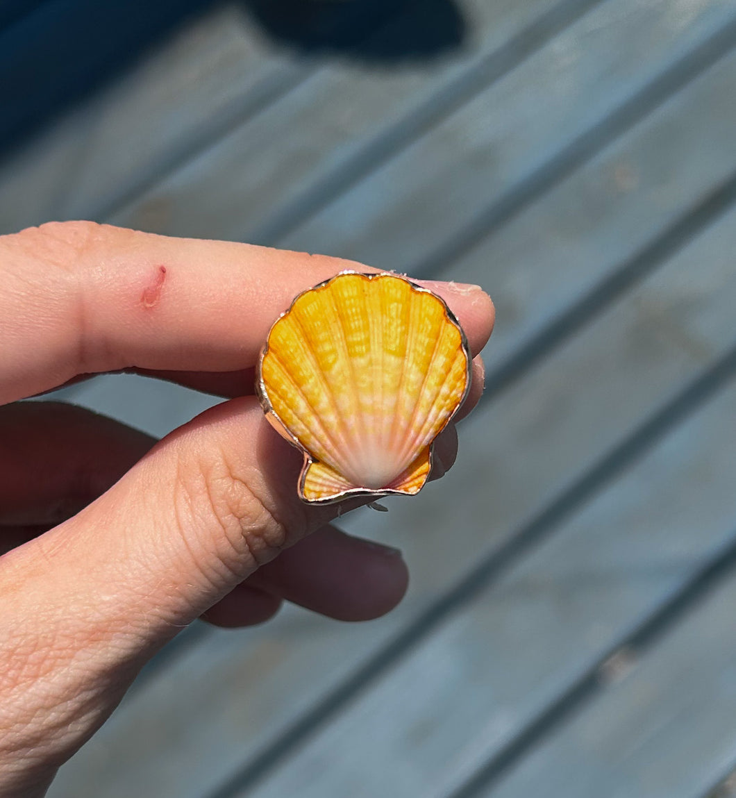 sunrise shell ring - gold - size 8