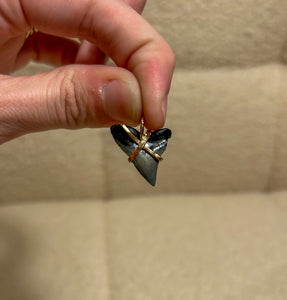 shark tooth pendant