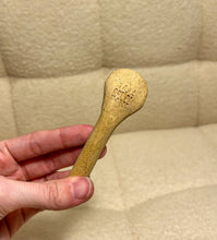 Load image into Gallery viewer, decor shell spoon - made out of water
