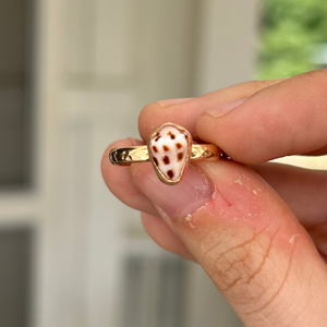 size 6 hebrew shell ring