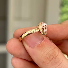 Load image into Gallery viewer, size 6 hebrew shell ring
