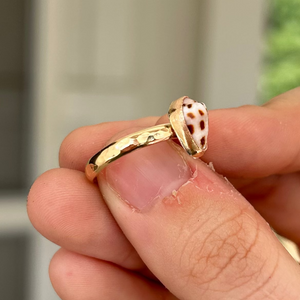 size 6 hebrew shell ring