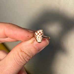 size 5 cone shell ring
