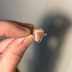 size 6 abbreviated cone shell ring