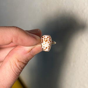 size 6 flea cone shell ring
