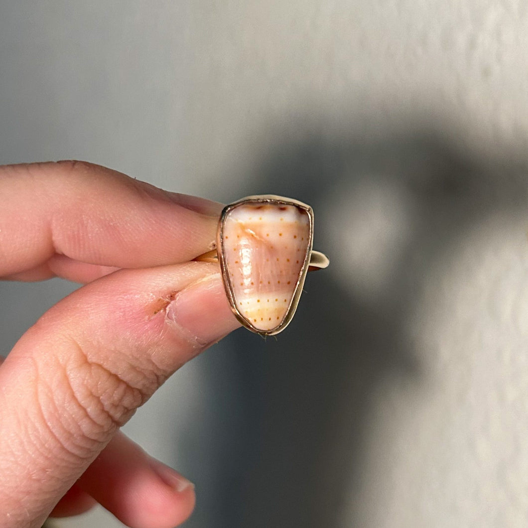 size 7 abbreviated cone shell ring