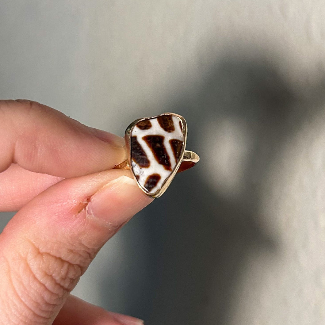 size 7 hebrew cone shell ring