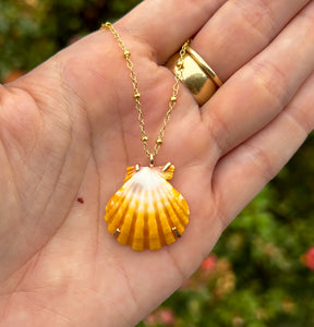 sunrise shell necklace #1