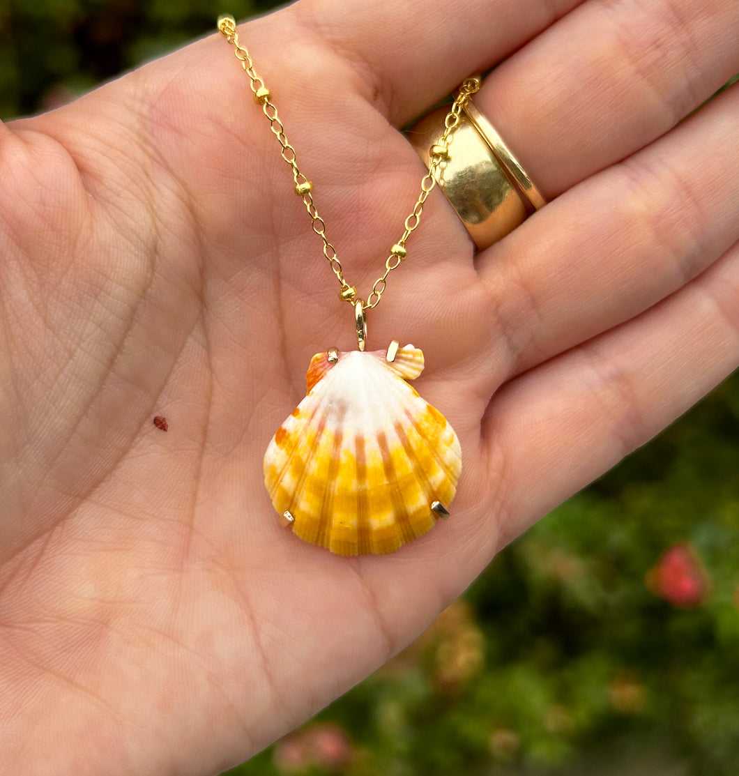 sunrise shell necklace #4