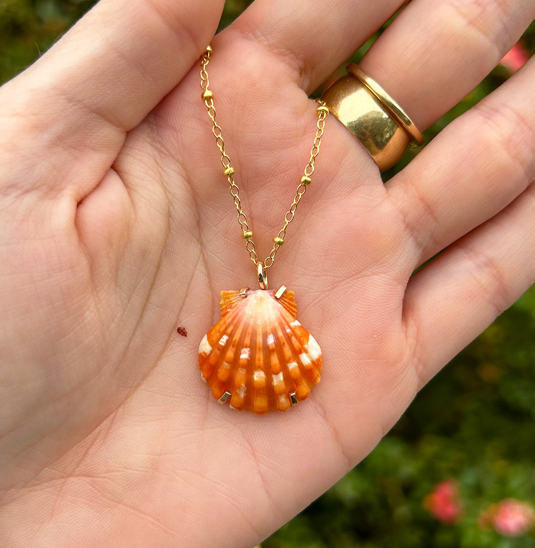 sunrise shell necklace #6