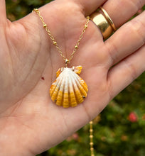 Load image into Gallery viewer, sunrise shell necklace WITH PEARLS
