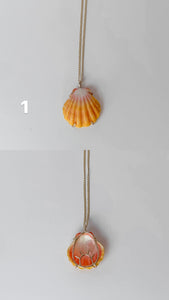 Sunrise Shell Necklace