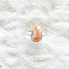Load image into Gallery viewer, silver shell bit ring (size 8)
